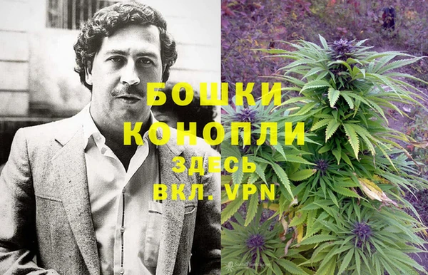 mdpv Белокуриха