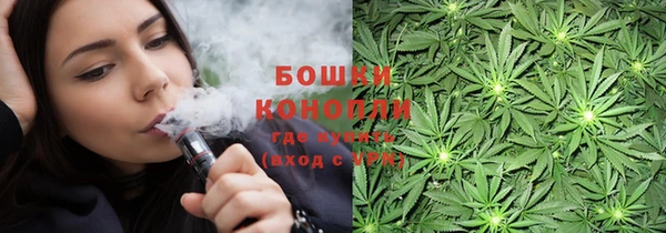 PSILOCYBIN Белоозёрский