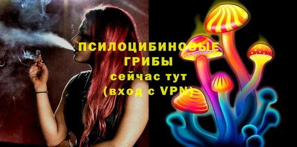 PSILOCYBIN Белоозёрский