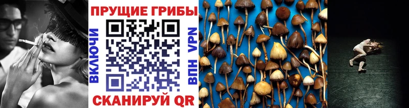 Галлюциногенные грибы Cubensis  Онега 
